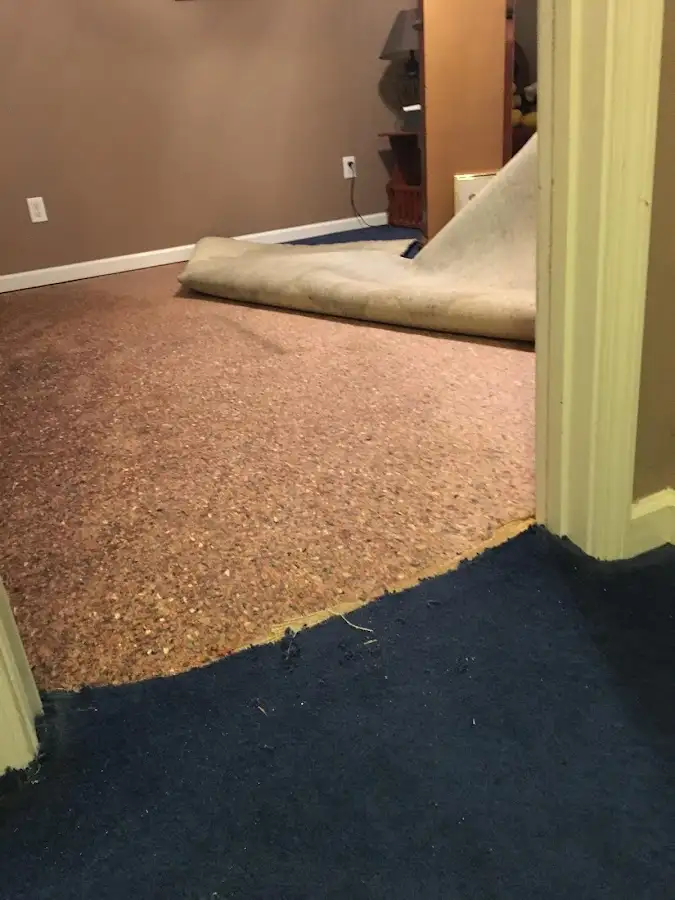 Carpet pad removal revealing water damage during Drying & Dehumidification in Sturgis